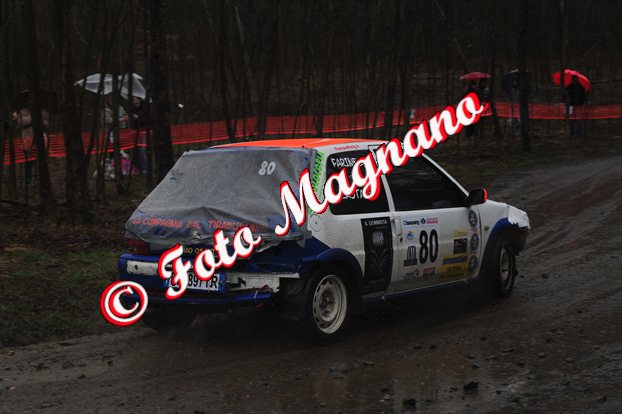 DSC_6529.jpg
